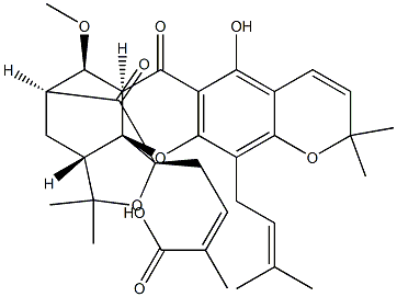 中藥標(biāo)準(zhǔn)品