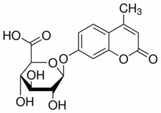 碳水化合物類