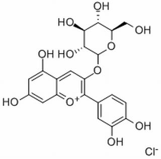 碳水化合物類