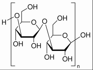 碳水化合物類