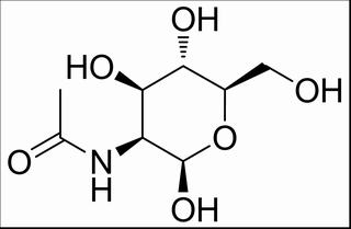 碳水化合物類