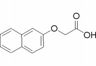 植物激素及核酸類