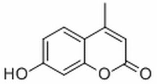 植物激素及核酸類