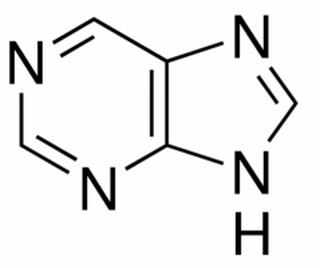 植物激素及核酸類